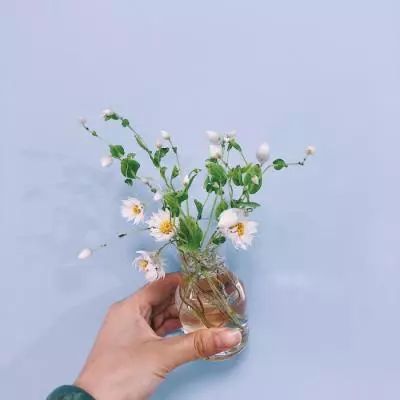 激斗火柴人双人游戏下载